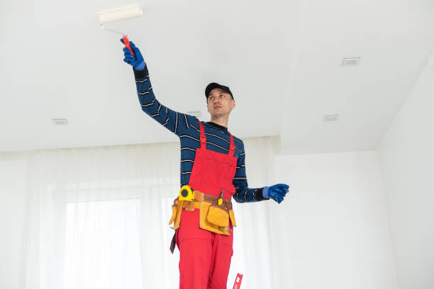 Best Water-Damaged Drywall Repair  in Indian Rocks Beach, FL