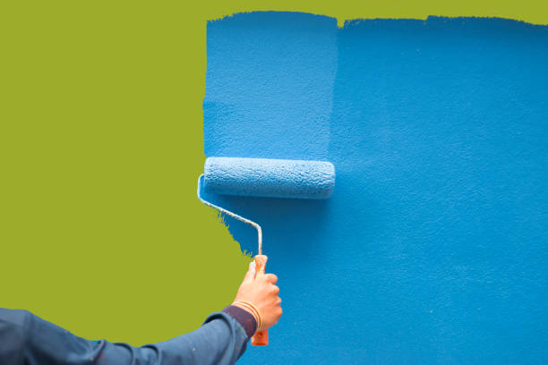 Best Touch-Up Painting  in Indian Rocks Beach, FL