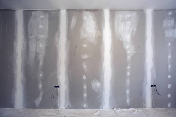 Best Drywall Removal and Disposal  in Indian Rocks Beach, FL